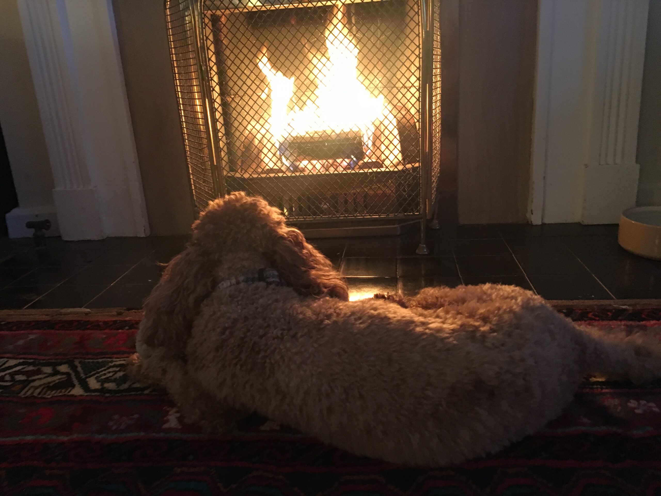 Sources of Magnesium